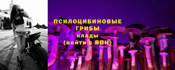 ECSTASY Арсеньев