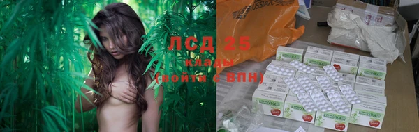 гидропоника Алзамай